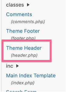 Theme Header Google Tag Manager