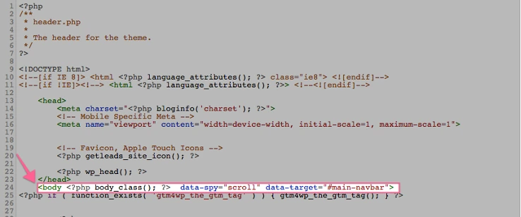 Body Google Tag Manager